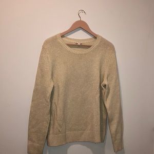 sparkly, super warm sweater!